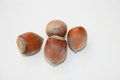 Free Hazel Nut Stock Photos - 6426173