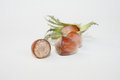 Free Hazel Nut Royalty Free Stock Images - 6426289