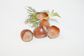 Free Hazel Nut Royalty Free Stock Photography - 6426327
