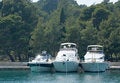 Free Yachts At Anchor Royalty Free Stock Photo - 6426985
