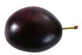 Free Single Plum Stock Photography - 6427982