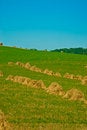 Free Reaped Field And Straw Stock Image - 6428581