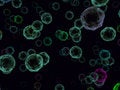 Free Circular Micro Colorful Cells Royalty Free Stock Images - 6428869