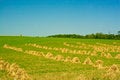 Free Reaped Field And Straw Royalty Free Stock Photos - 6429008
