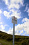 Free No Dogs Allowed On Hills Stock Image - 6421971