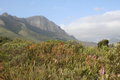 Free Hottentots Holland Mountains Stock Photo - 6432430