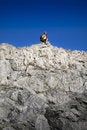 Free Hiking Stock Image - 6433071