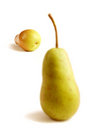 Free Appetizing Pears Royalty Free Stock Photos - 6435548
