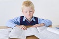 Free Homework Royalty Free Stock Photos - 6436108