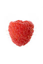 Free Fresh Raspberry Royalty Free Stock Photo - 6438875