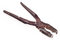 Free Big Rusty Pliers. Royalty Free Stock Image - 6435906
