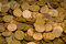 Free Savings Stock Photography - 6436342