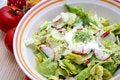 Free Salad Stock Photography - 6441032