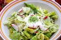 Free Salad Stock Image - 6441111