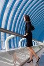 Free Business Woman Stock Photos - 6450743