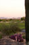 Free Golf Course In The Arizona Desert Royalty Free Stock Image - 6451666