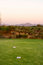 Free Golf Course In The Arizona Desert Royalty Free Stock Photos - 6451738