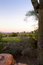 Free Golf Course In The Arizona Desert Royalty Free Stock Photo - 6451755