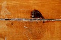 Free Wood Material Royalty Free Stock Images - 6460129