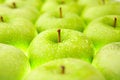 Free Freshness Royalty Free Stock Image - 6461966