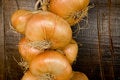 Free Onion Braid Stock Photo - 6464960
