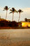 Free Palm Trees On The Beach Royalty Free Stock Image - 6465296