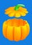 Free Pumpkin 3d Isolated Royalty Free Stock Photos - 6467148