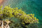 Free Beautiful Mediterranean Coastline. Sveti Stefan Royalty Free Stock Photo - 6468325