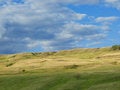 Free Rural Landscape Stock Photo - 6472820