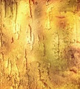 Free Grunge Background Stock Photo - 6479310