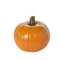 Free Pumpkin Isolated On White Stock Image - 6470191