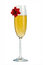 Free Champagne Glass Stock Photography - 6472092