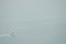 Free Solitary Boat Crossing Water Royalty Free Stock Photo - 6476245