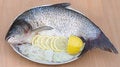 Free Grilled Fish, Recipe 3 (series) Stock Image - 6484601