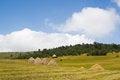 Free Idyllic Meadow On A Spring Day Royalty Free Stock Images - 6486009