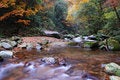 Free In The Fall Of The Stream Royalty Free Stock Photos - 6488248