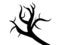 Free Abstract Tree Silhouette Royalty Free Stock Image - 6485666