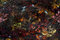 Free Autumn Whirlpool Royalty Free Stock Photography - 6486327
