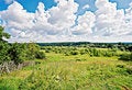 Free Country Days Royalty Free Stock Photos - 6490598