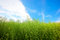 Free Landscape - Early Spring Royalty Free Stock Image - 6490136