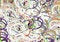 Free Round Background - Vector Stock Photography - 6495612