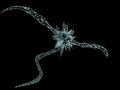 Free Microviruses Vol 5 Stock Images - 651574