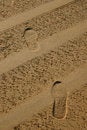 Free Foot Print Royalty Free Stock Photos - 651708