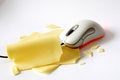 Free Mouse And Cheese Royalty Free Stock Image - 651766
