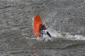 Free Practicing Kayaking Stock Photos - 652423