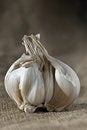 Free Garlic Bulb Royalty Free Stock Photography - 654187