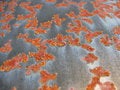 Free Rust Royalty Free Stock Images - 657759