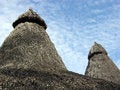 Free Straw Roofs Stock Image - 6502371