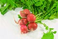 Free Red Radish Isolated Stock Photo - 6504210