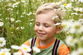 Free 3 Years Boy On Daisy Field Royalty Free Stock Photography - 6509467